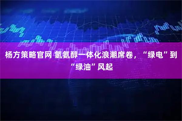杨方策略官网 氢氨醇一体化浪潮席卷,“绿电”到“绿油”风起