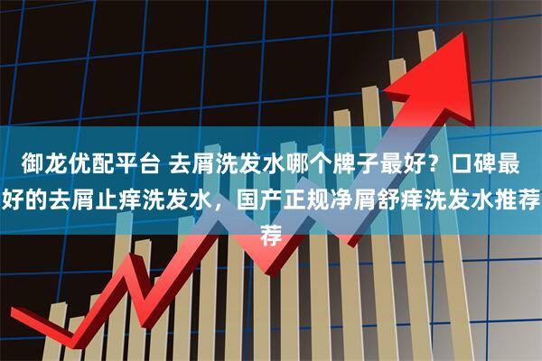 御龙优配平台 去屑洗发水哪个牌子最好?口碑最好的去屑止痒洗发水,国产正规净屑舒痒洗发水推荐