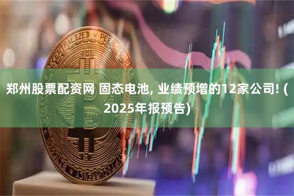 郑州股票配资网 固态电池, 业绩预增的12家公司! (2025年报预告)