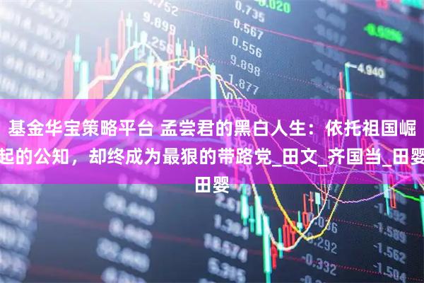 基金华宝策略平台 孟尝君的黑白人生：依托祖国崛起的公知，却终成为最狠的带路党_田文_齐国当_田婴