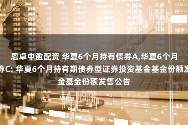 恩卓中盈配资 华夏6个月持有债券A,华夏6个月持有债券C: 华夏6个月持有期债券型证券投资基金基金份额发售公告