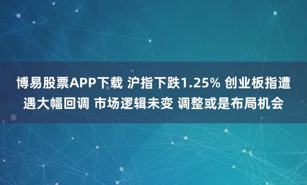 博易股票APP下载 沪指下跌1.25% 创业板指遭遇大幅回调 市场逻辑未变 调整或是布局机会